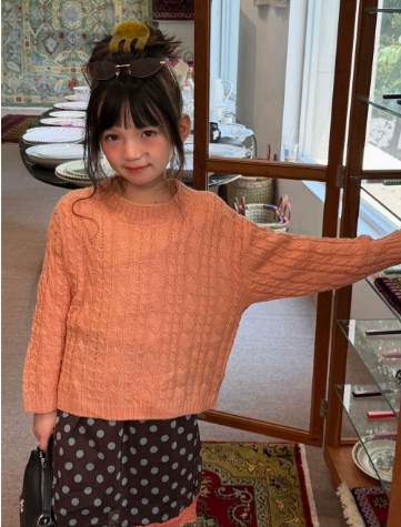 Girls Sweater 2026 Autumn and  - Baby Clothing Jumpers 评论和价格